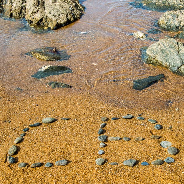 Maison d'Enfants « Les Cèdres Bleus » : L'association